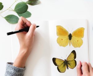 a closeup of a woman's hand sketching a yellow butterfly