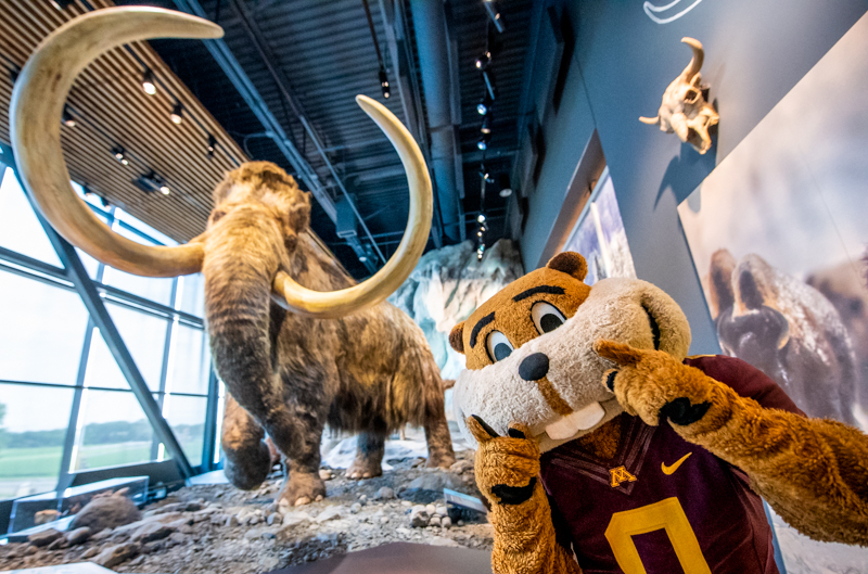 Goldy Gopher in front of the Bell mammoth