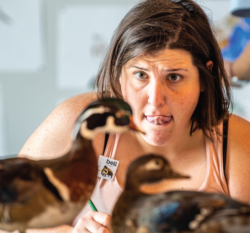 Woman sketching taxidermy ducks