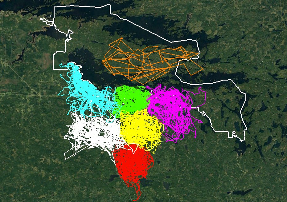 Map of Greater Voyageurs National Park ecosystem overlayed with movement patterns from various wolf packs