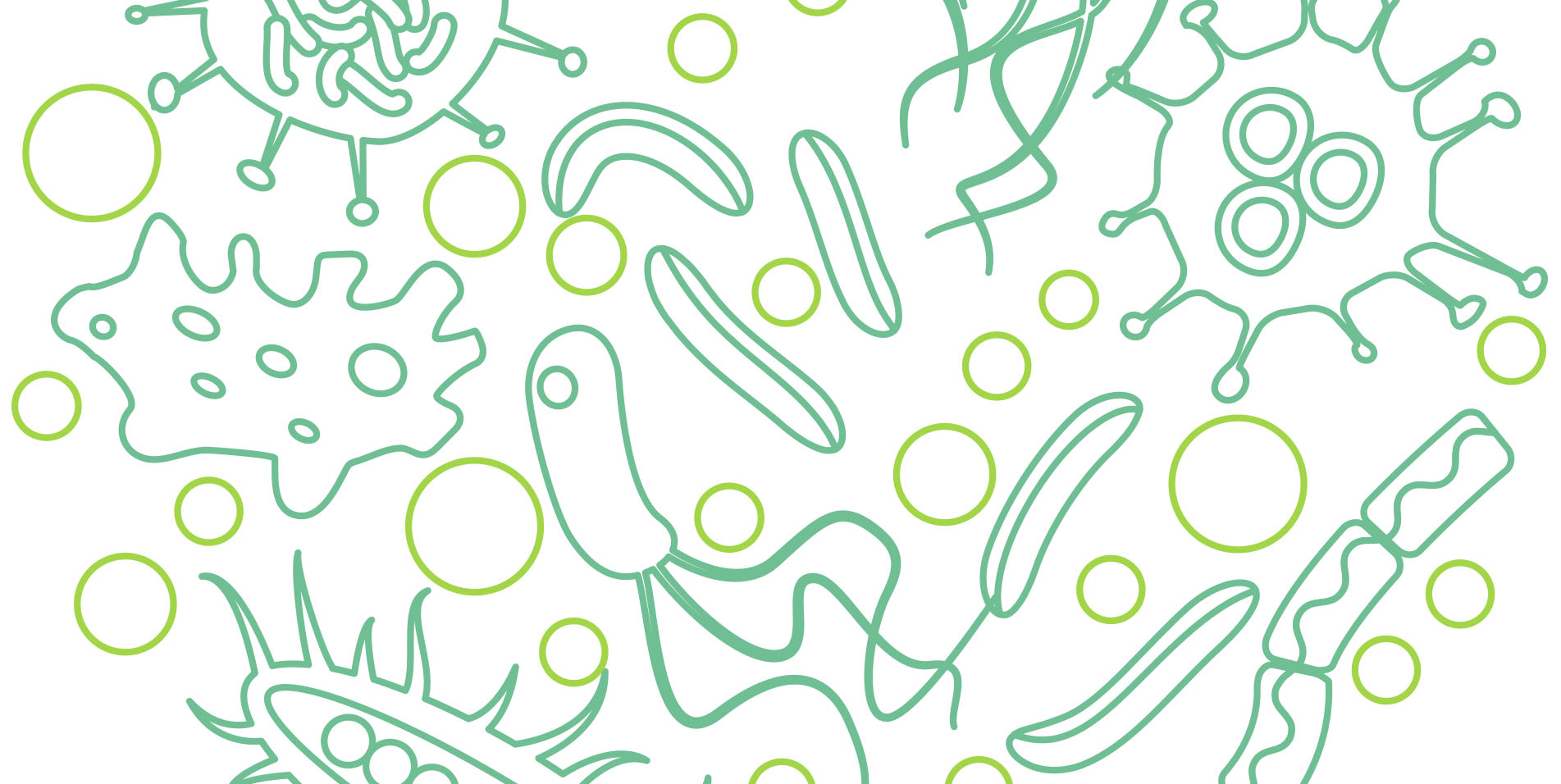 Green line drawing illustrating a variety of microorganisms (magnified view)