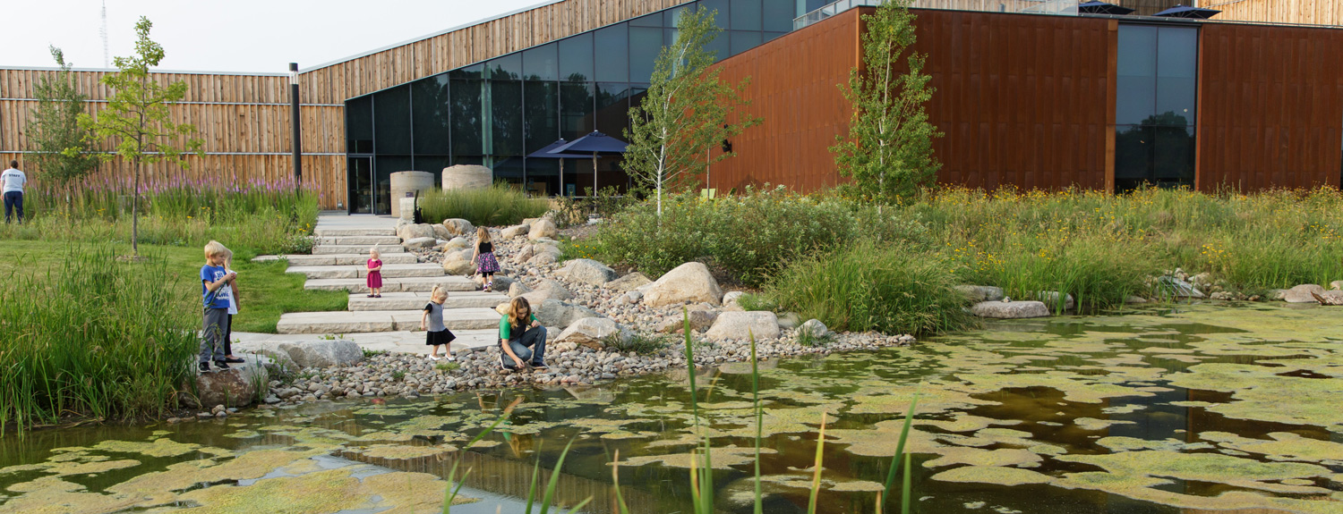 Kids check out the pond on the Bell Museum's Learning Landscape