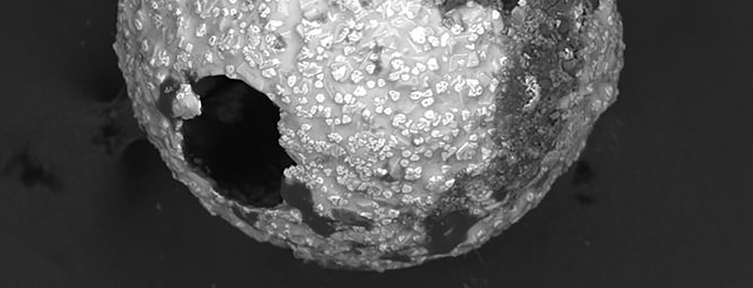 Microscope image of a micrometeorite