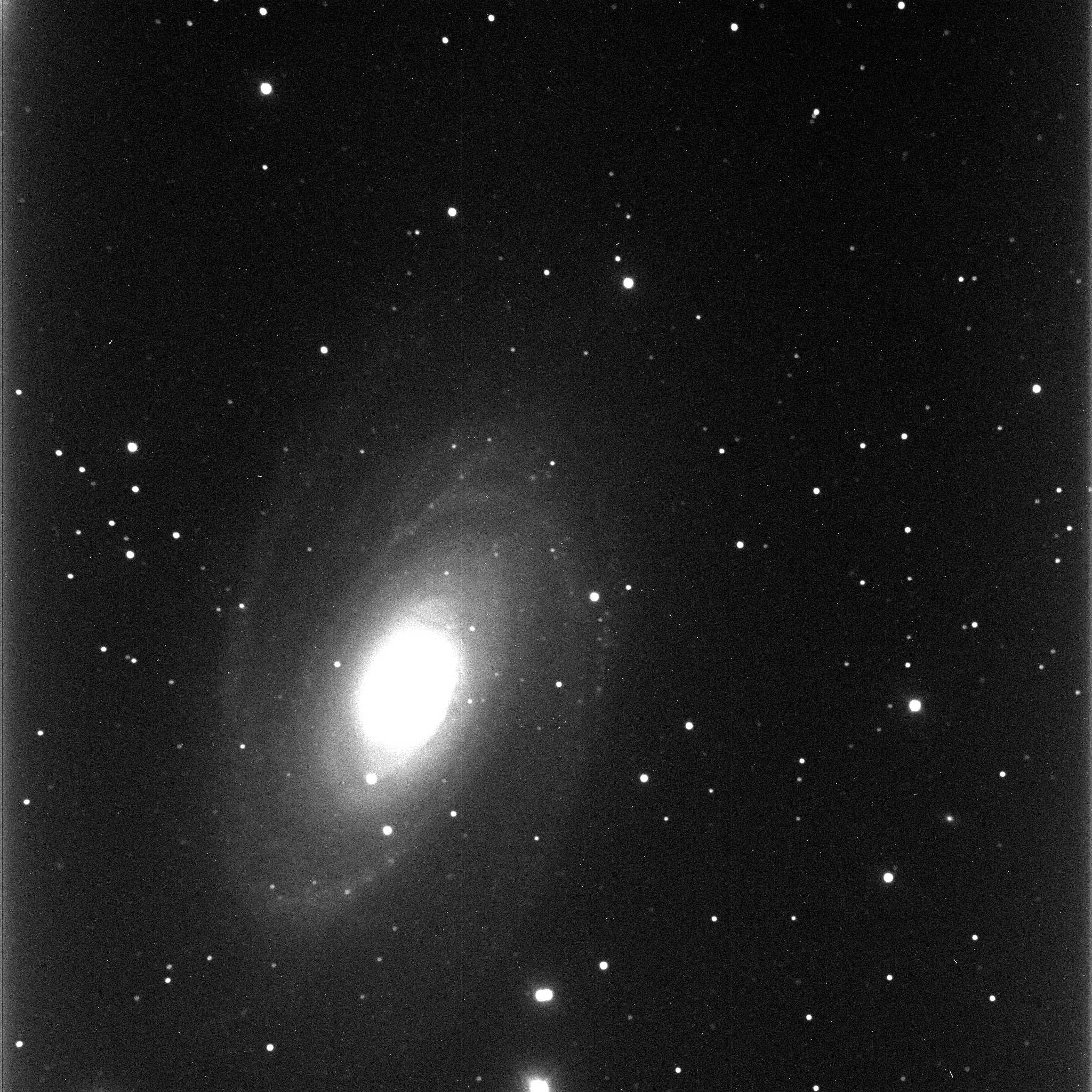 M81 galaxy