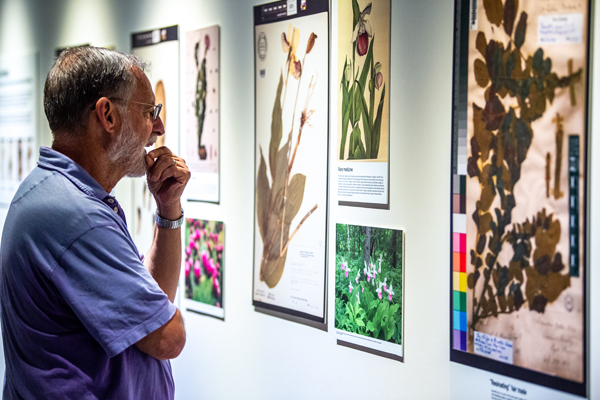 Visitors check out the Wicked Plants exhibit on opening weekend: A man examines a display about various plants