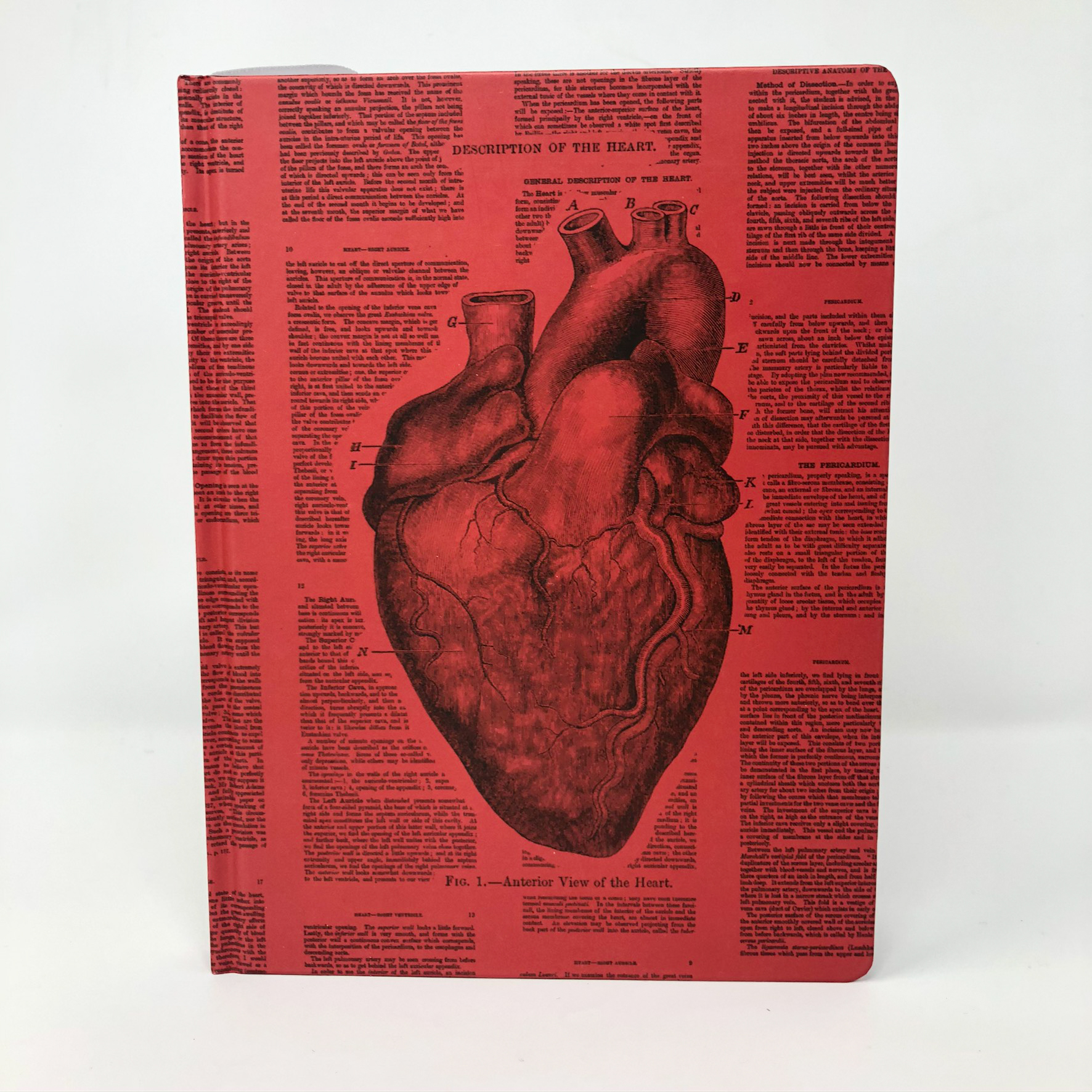 The cover of a journal featuring an anatomical drawing of a human heart