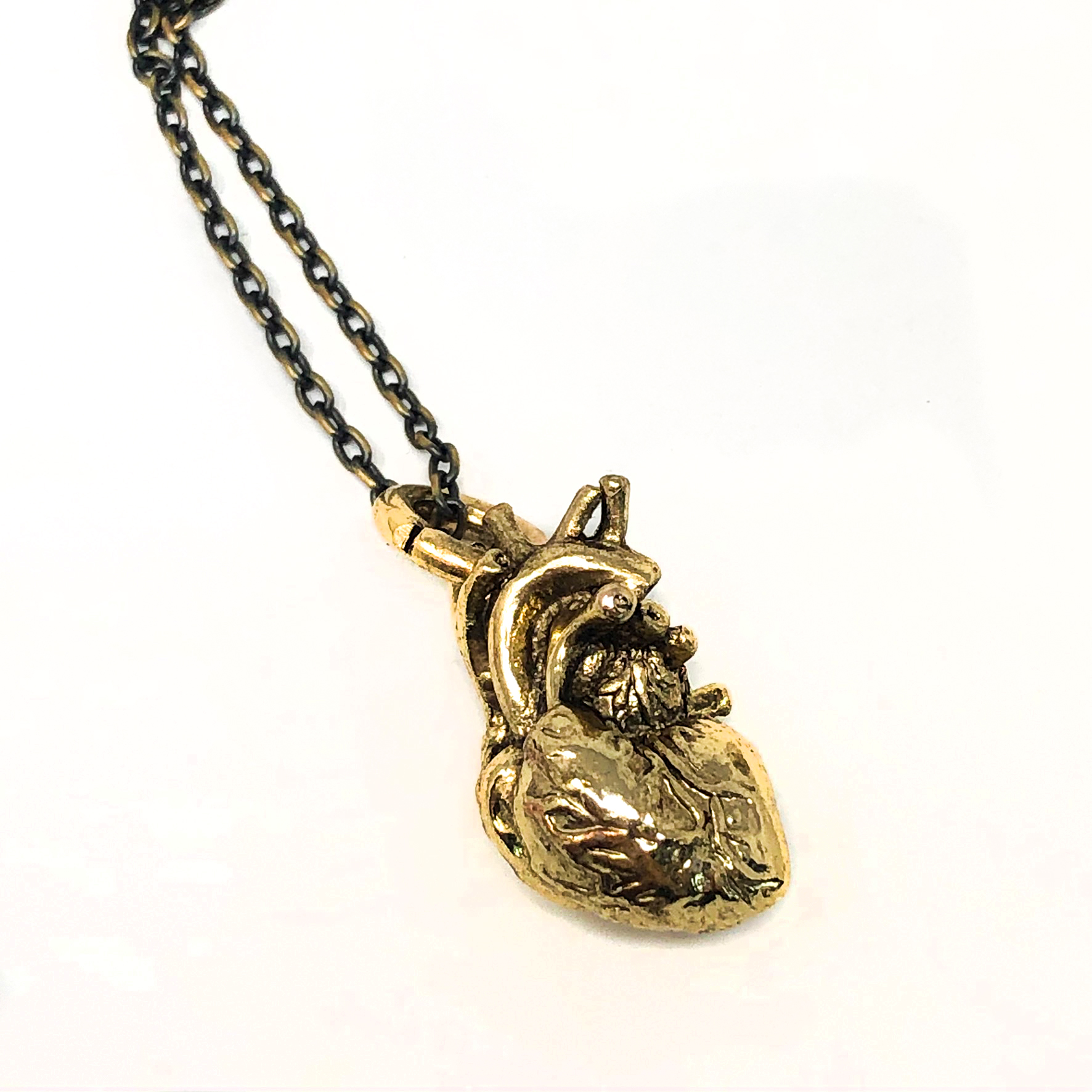 An anatomical depiction of the human heart in brass