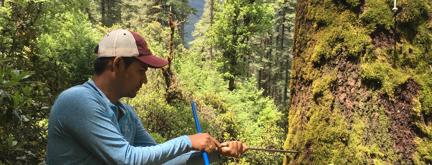 Research in the forests of Nepal