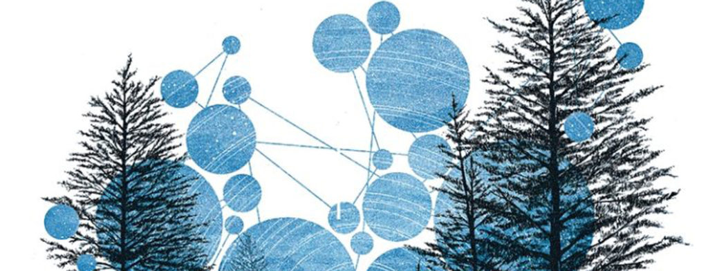 Graphic with connected dots and trees, text: Probable Meets Possible: Bio-inspired futures rooted in the right now