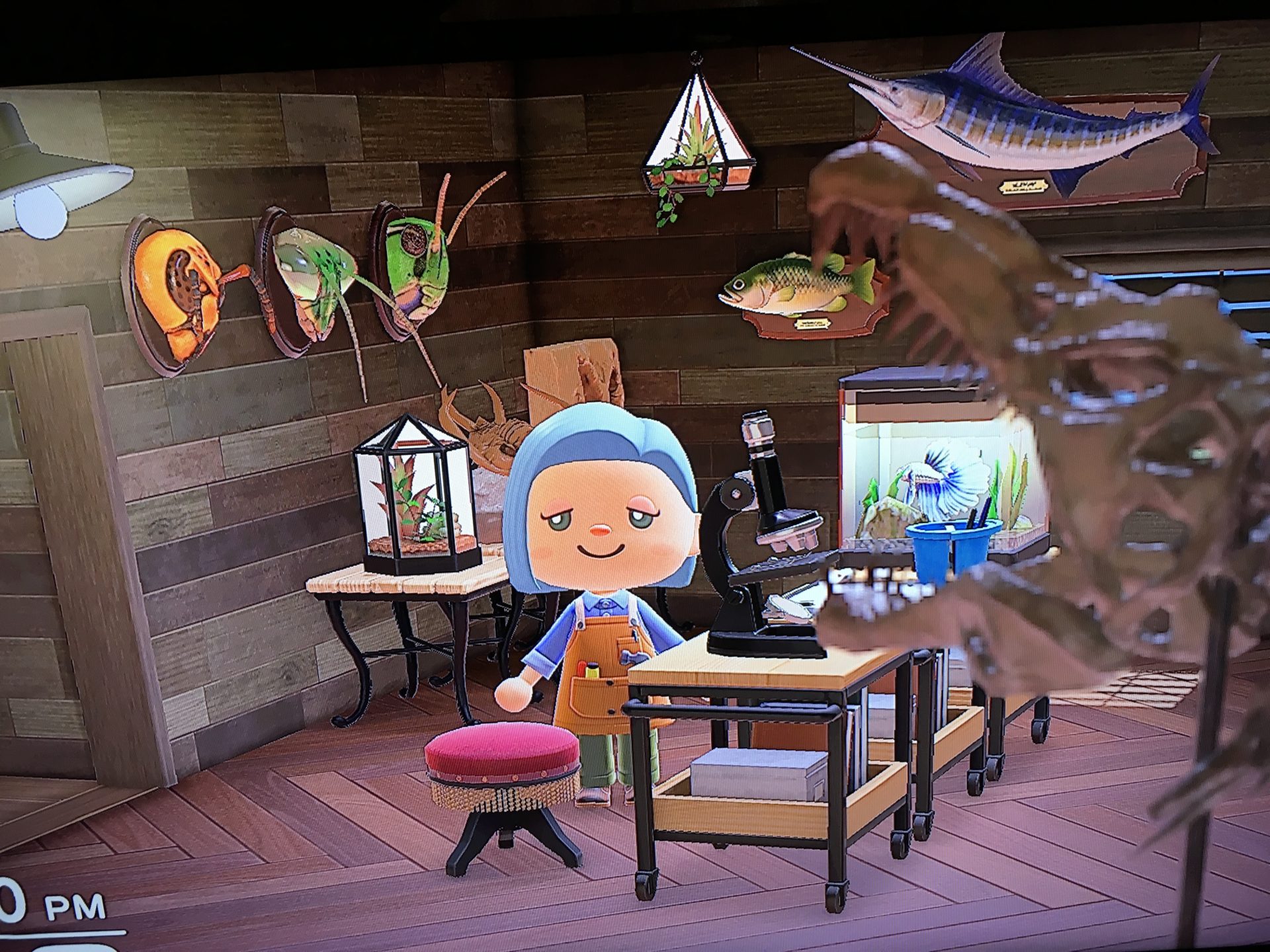 an animal crossing avatar at a house full of museum artifacts, including bugs, fish, and fossils