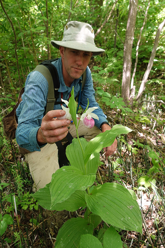 Man in the woods with a lady slipper