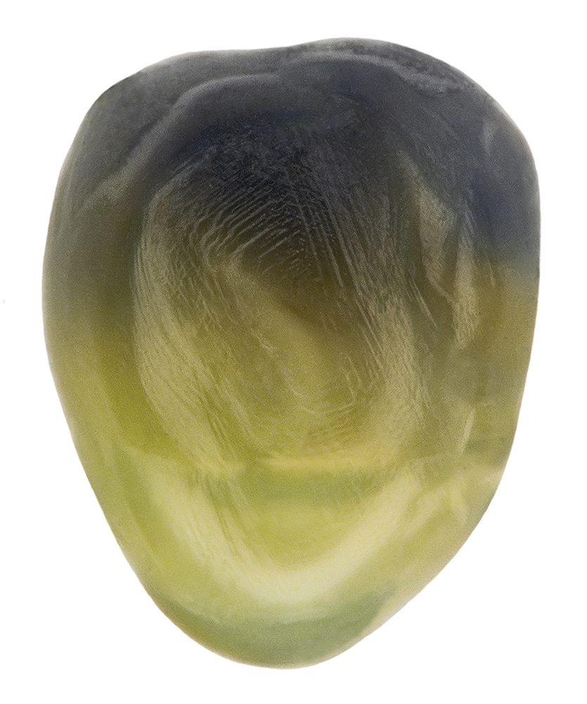 Micrometeorite with colors fading from black to yellow