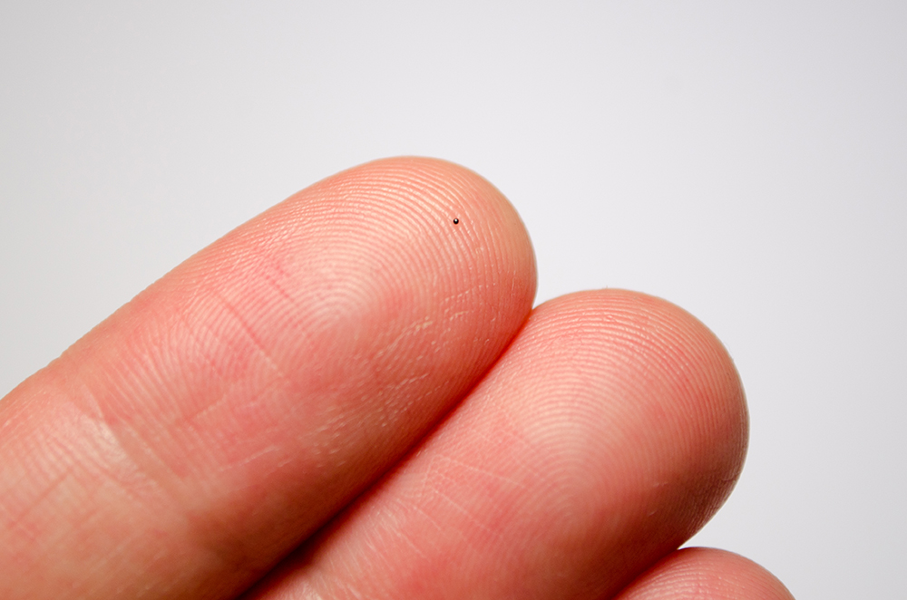 a tiny speck on a person's finger