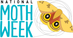 National moth week