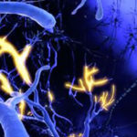 Illustration of brain synapses