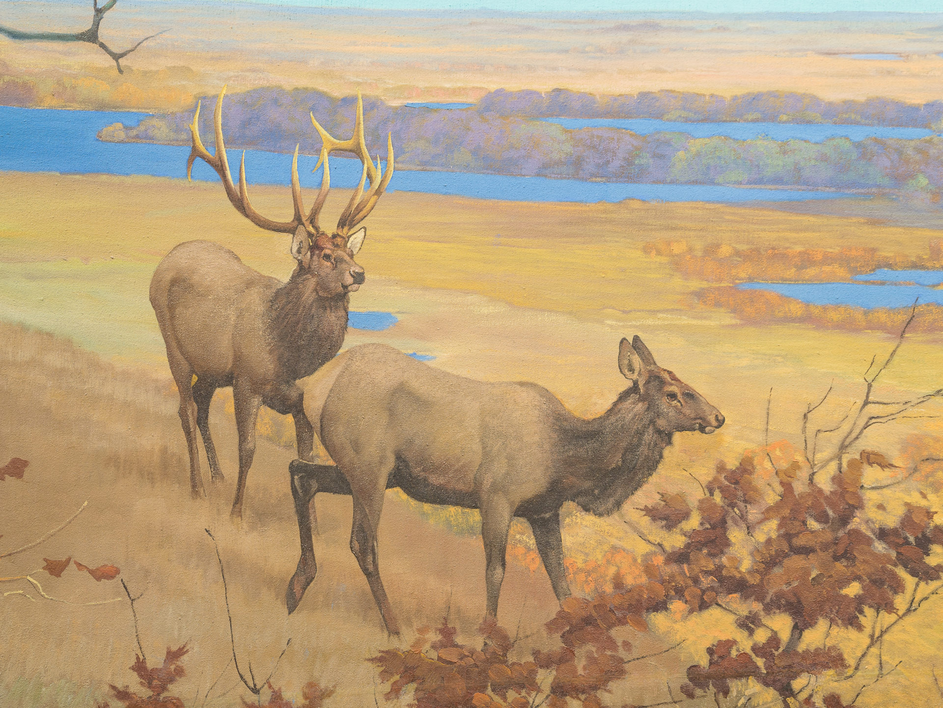 Jaques painting of 2 elk closer in the valley