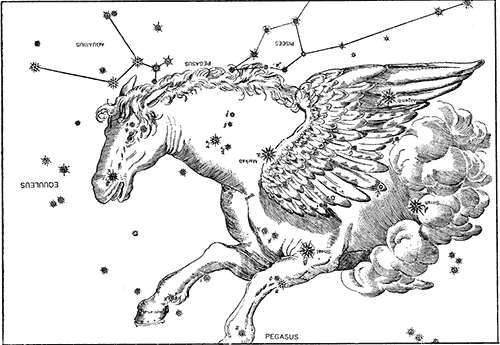 Drawing and star placement of pegasus