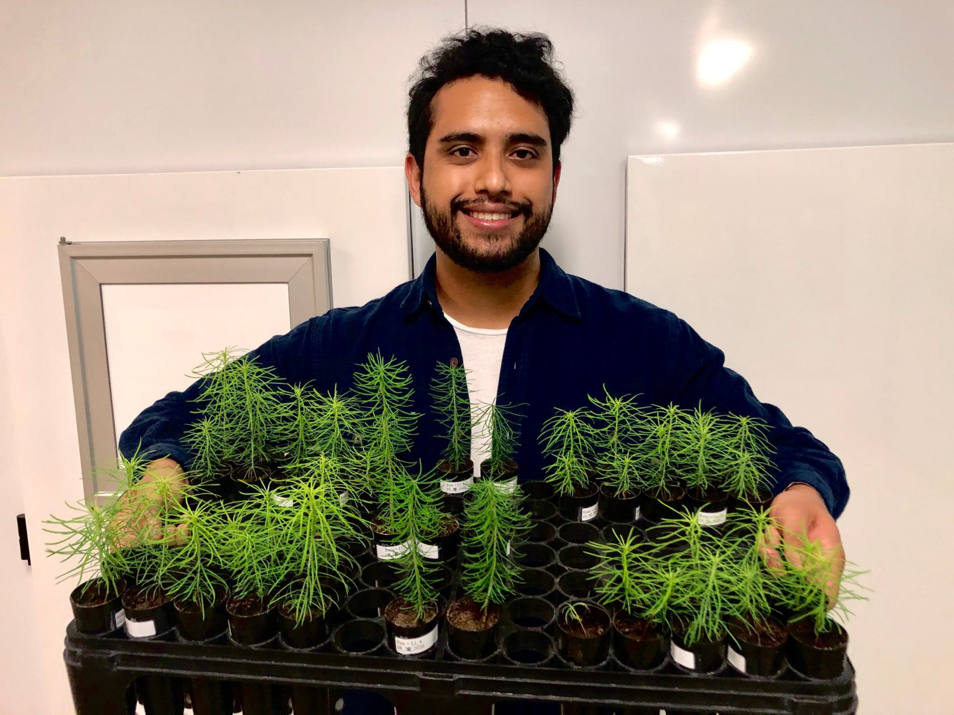Man smiling and holding tray of plants