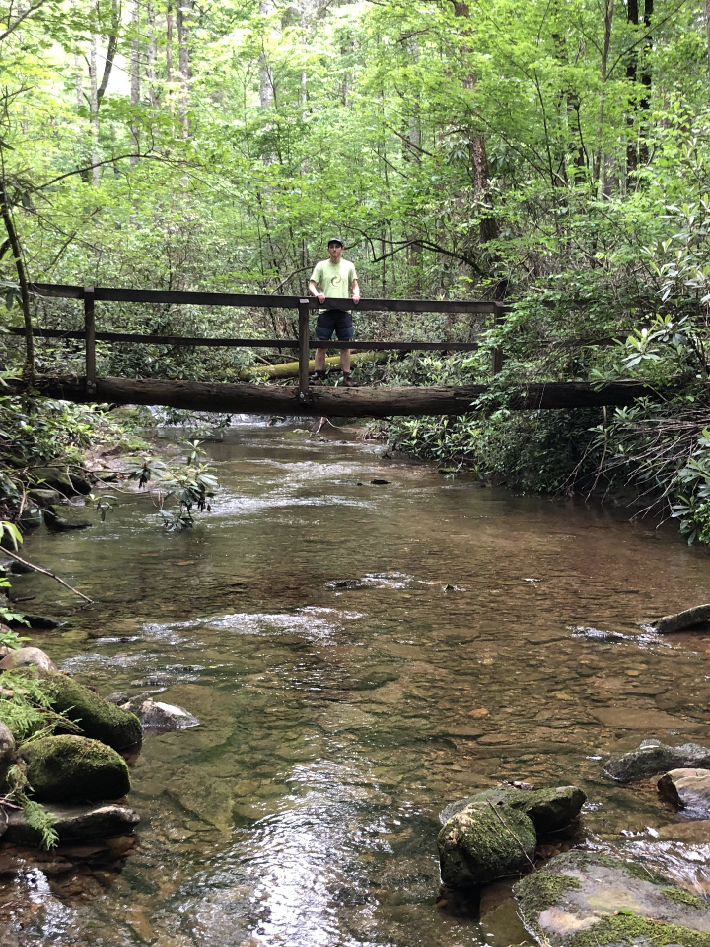 Man standing on a bridge over a river in the woods