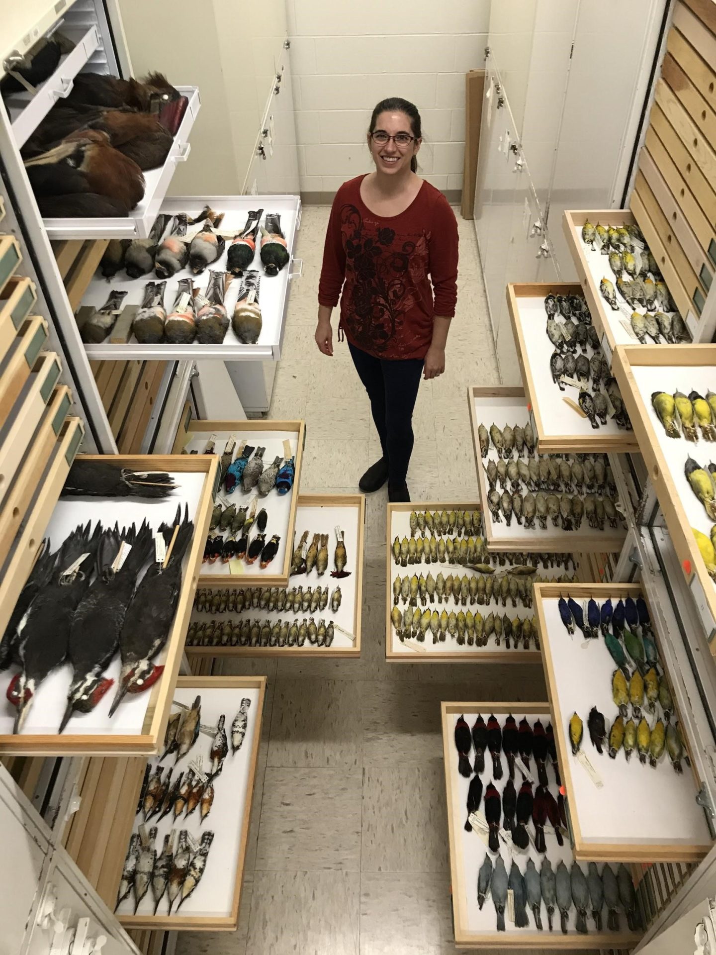 Woman standing amongst several bird collection