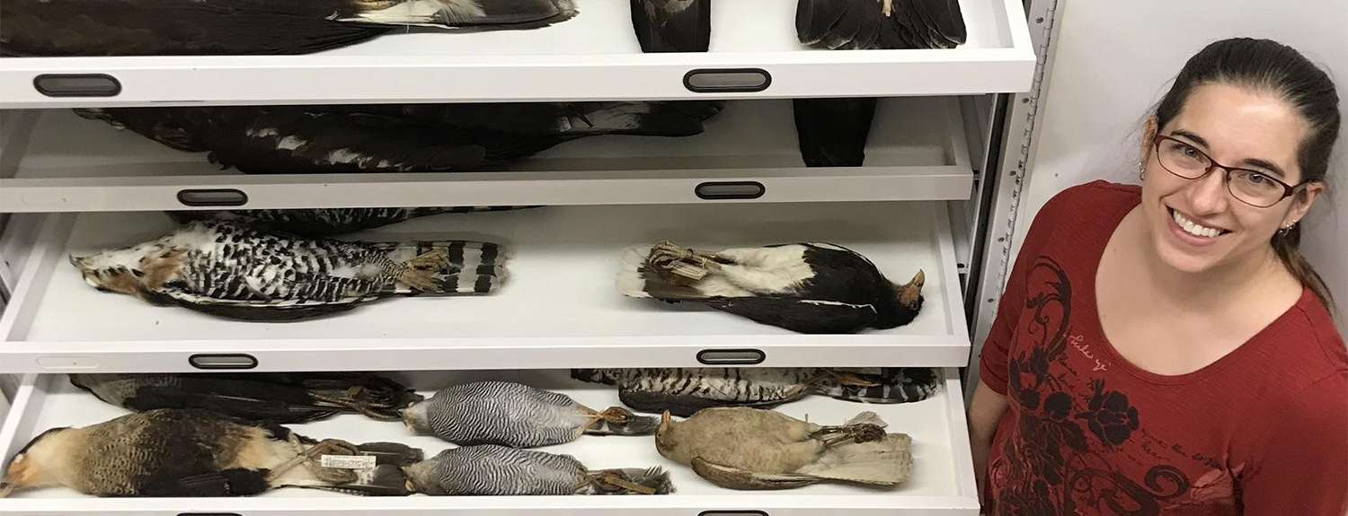 Person standing looking up and smiling next to bird collection tray