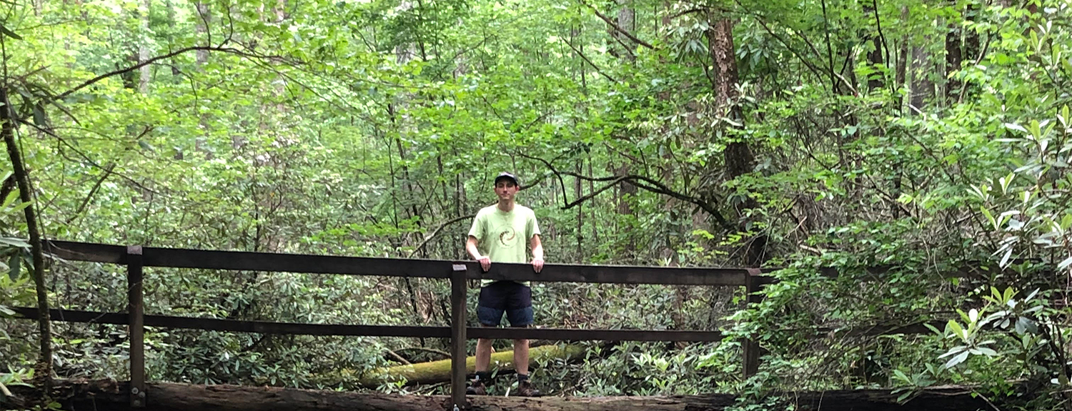 Man standing on a bridge in the woods