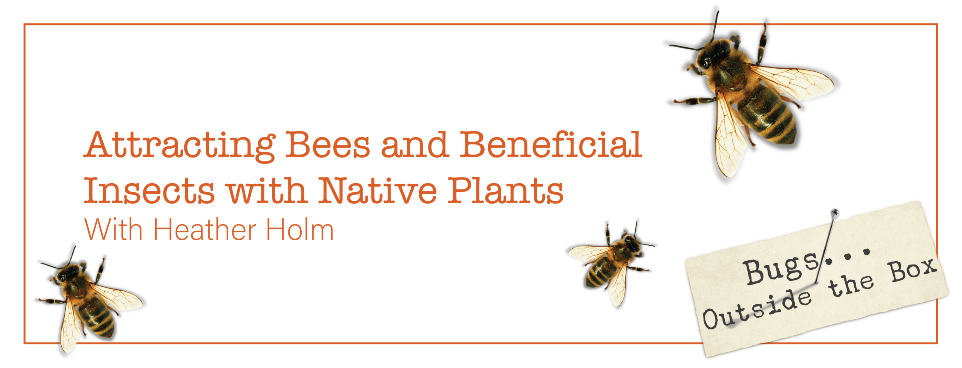 text: Attracting Bees and Beneficial Insects with Native Plants with Heather Holm