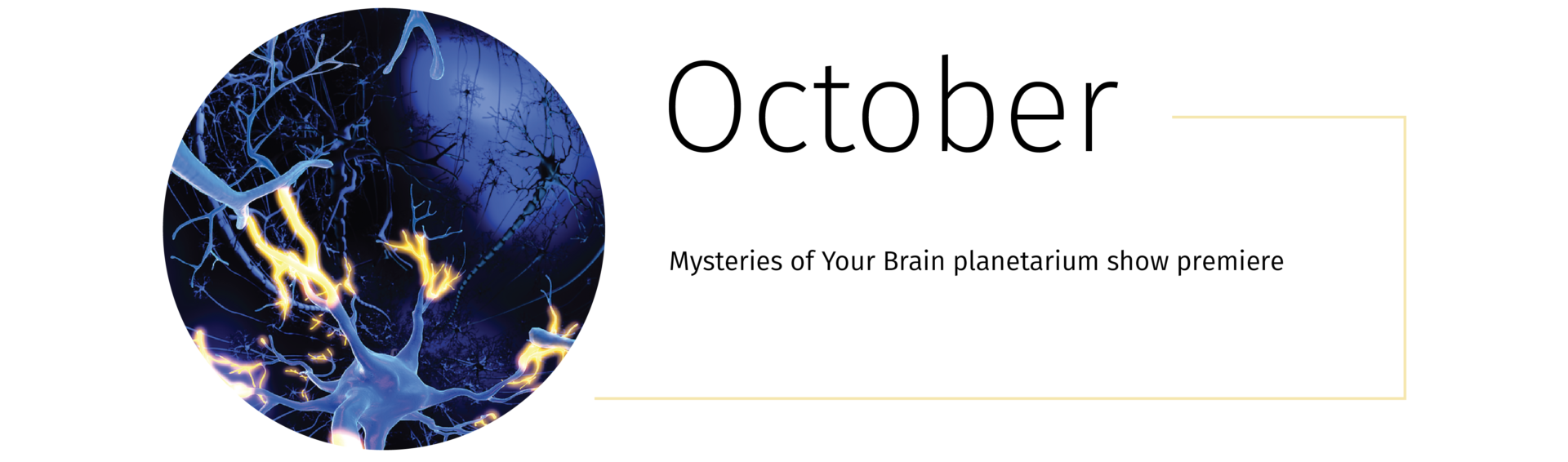An animation of neurons with the text, "Mysteries of Your Brain planetarium show premiere"