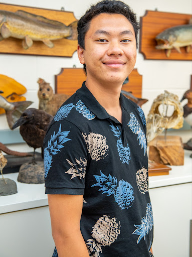 A person standing in front of fish specimens