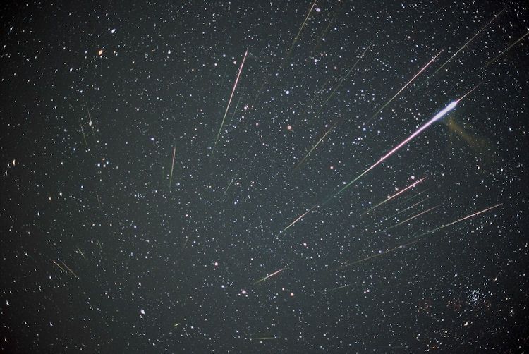 A composite image of Leonid meteor shower