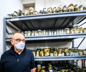 Man wearing a mask standing in front of several fish specimens