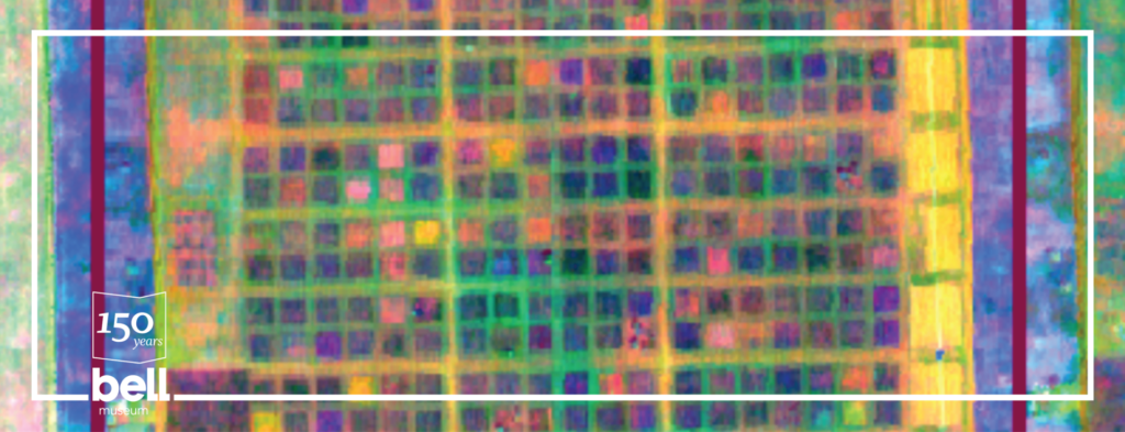 an out of focus grid with colorful squares
