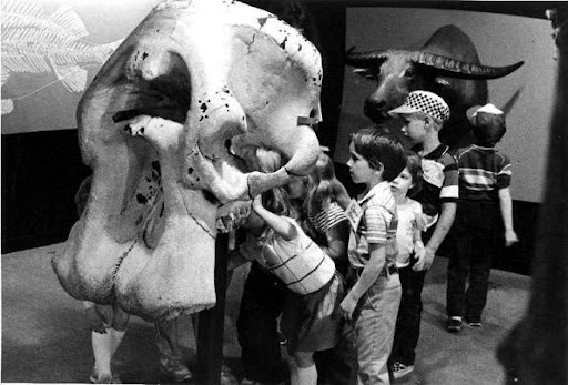 A black and white photo of students looking at a large elephant skull