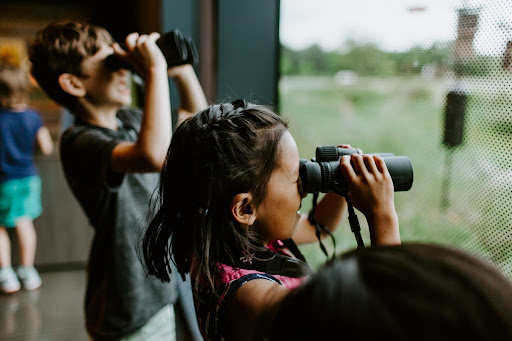 Children with binoculars looking out a window at birds