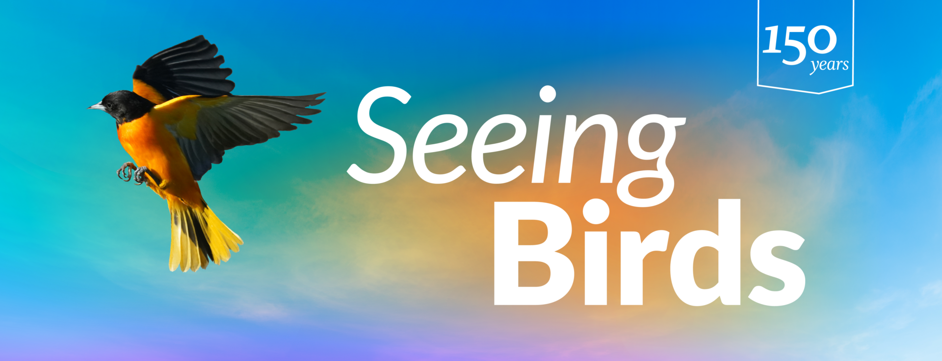 Bird in flight with text: Seeing Birds. 150 years.