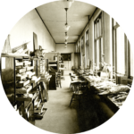 Black and white image of room with several bird specimen