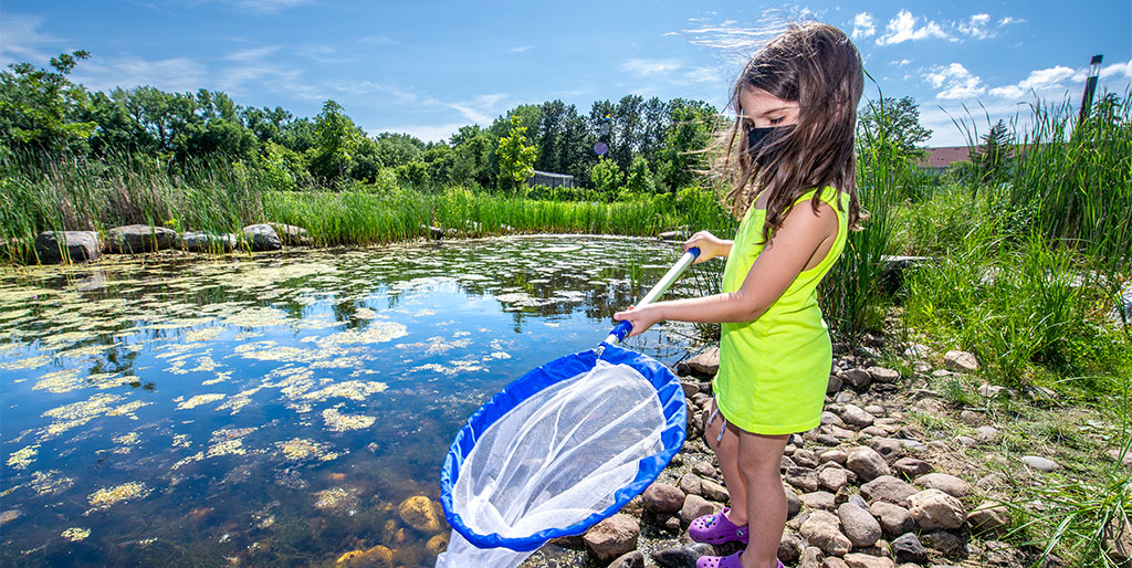 A child catching bugs with a net by the pond
