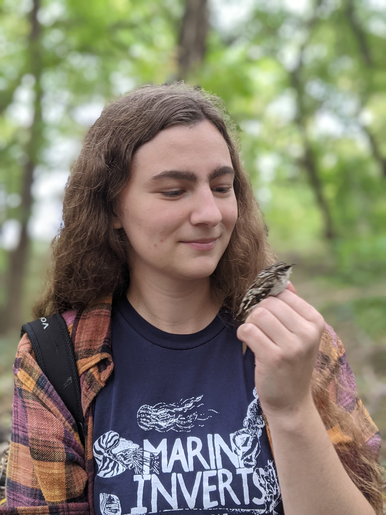 Person looking at a bird sitting on their hand