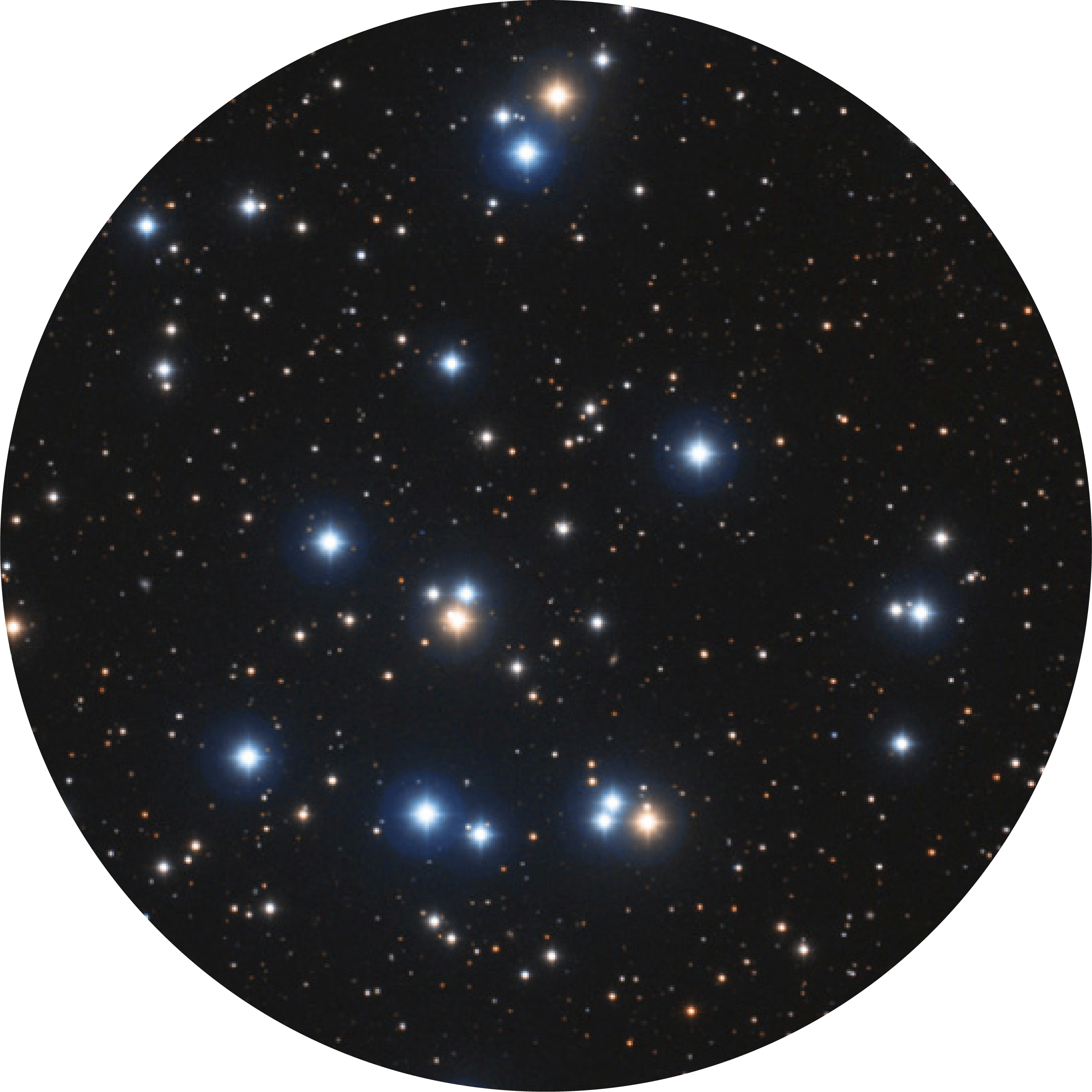 Beehive cluster