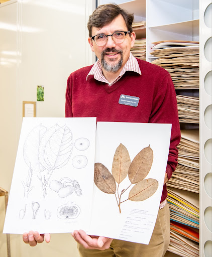 George Weiblen folding plant specimens