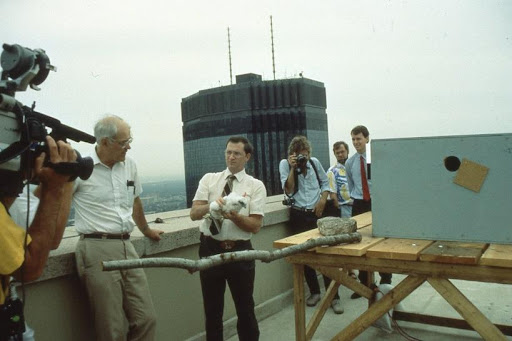 Tordoff and Redig on Multifoods Tower in downtown Minneapolis, 1985.