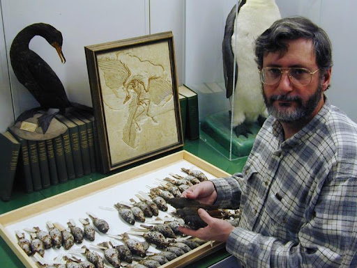 Robert Zink with some of his research subjects – fox sparrows. The plumage patterns of these sparrows vary greatly across their range