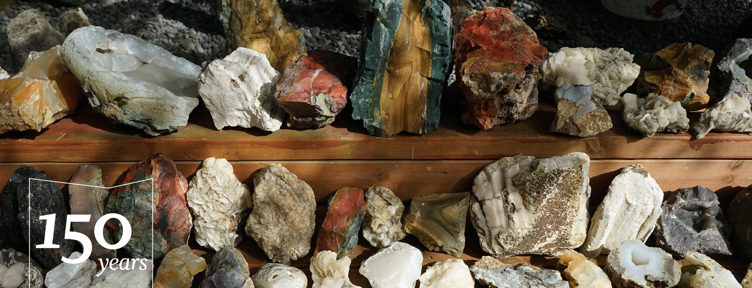 Collection of various rocks