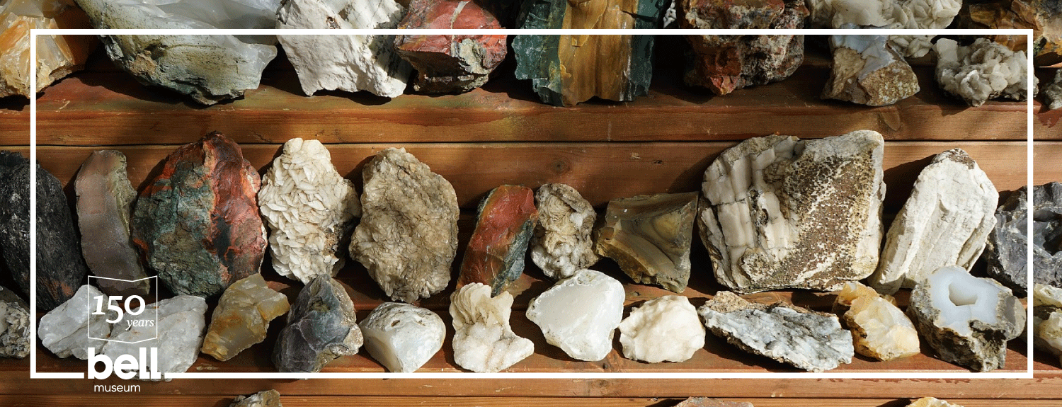 Collection of various rocks