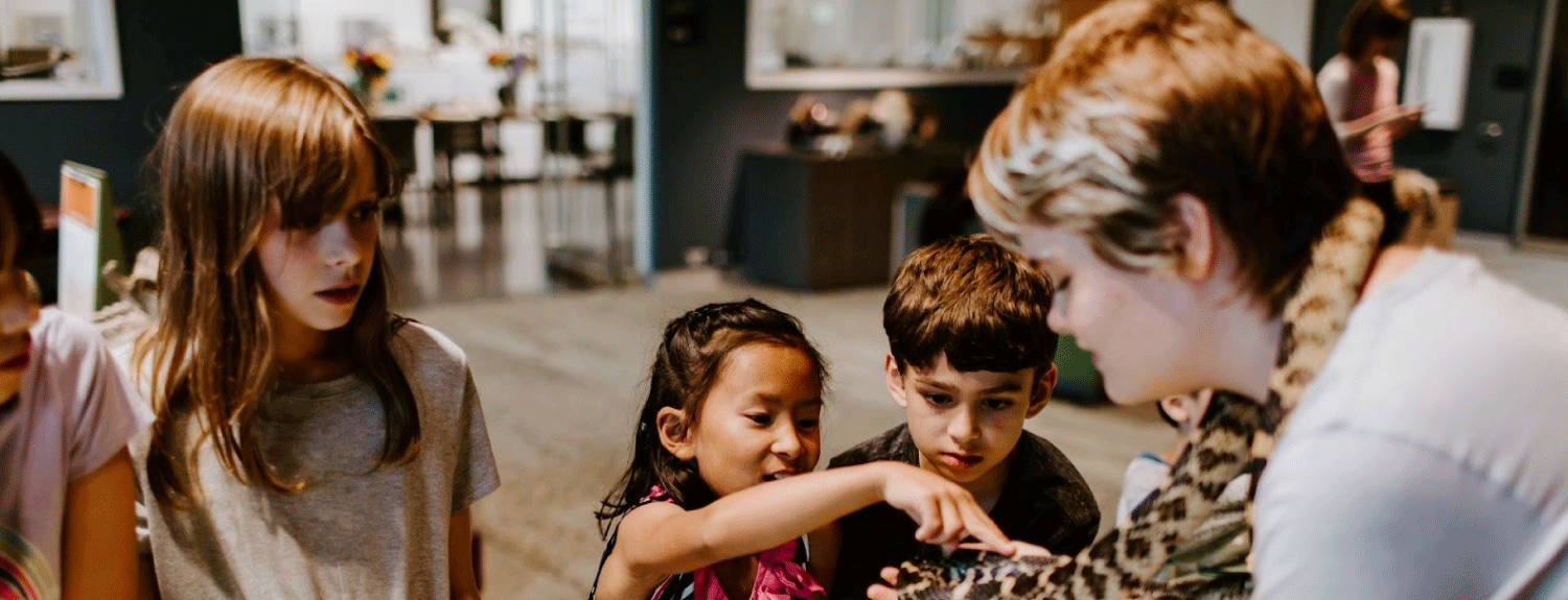 Young visitors touching a snake held by Bell staffer in Touch & See Lab