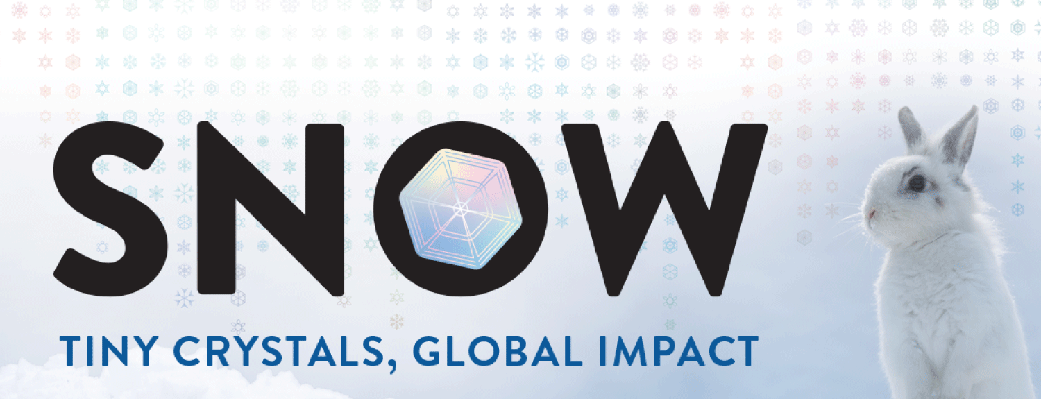 Rabbit in the snow with text: Snow: Tiny Crystals, Global Impact