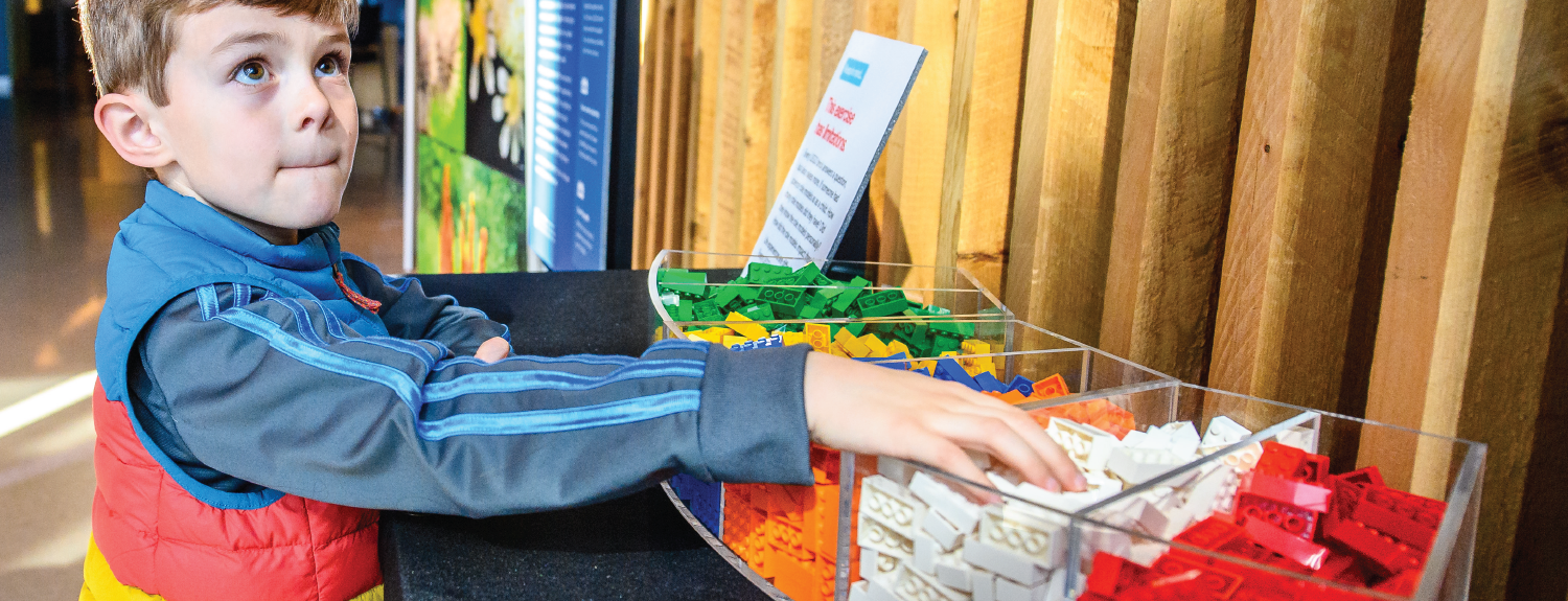A child playing with legos at the Bell Museum