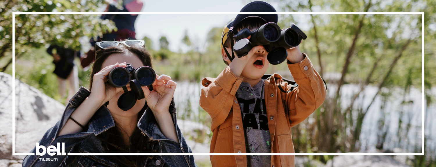 Adult and child look through binoculars.