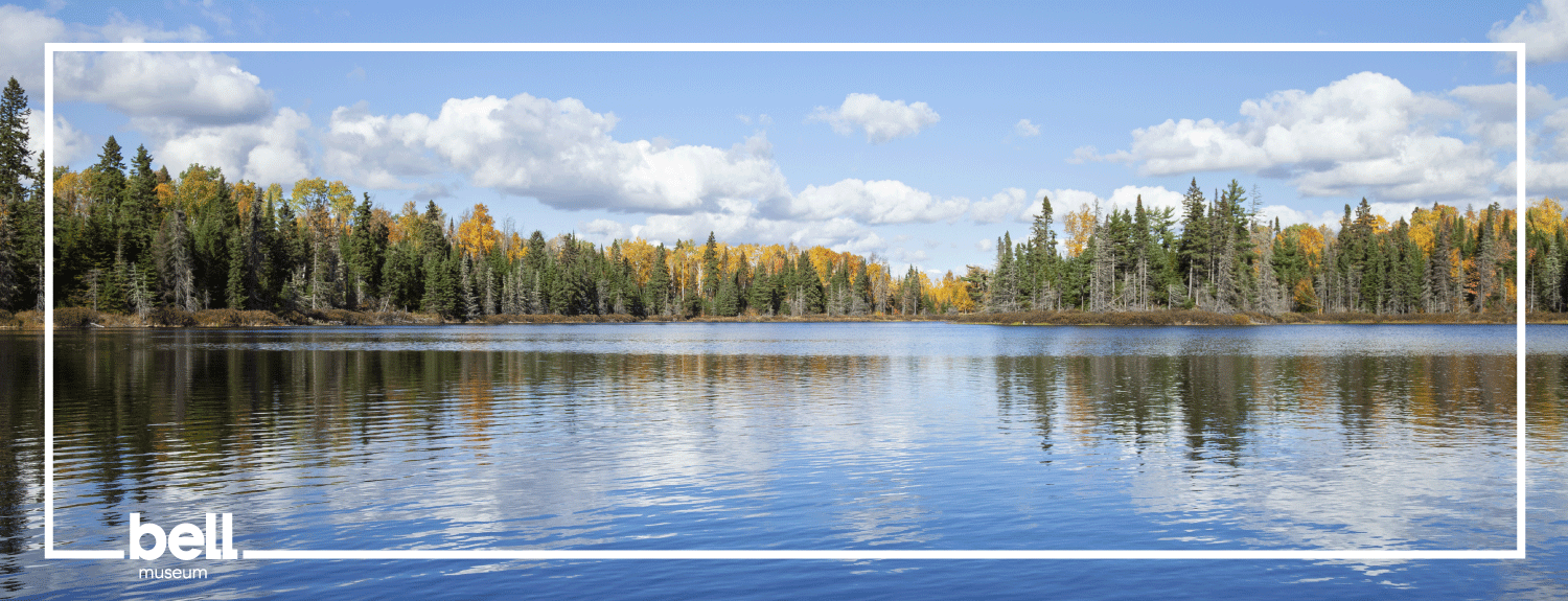 Lake surrounded by trees with changing leaves.