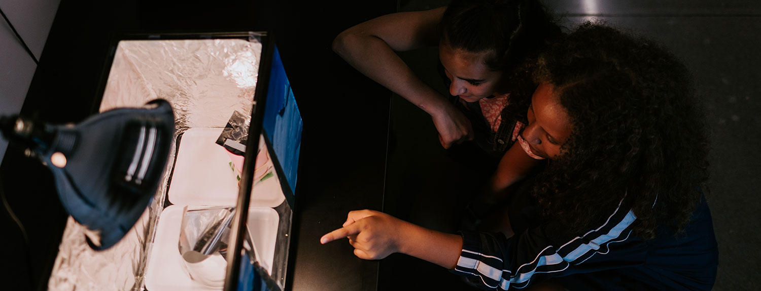 Two students observing lab activity in a light box.